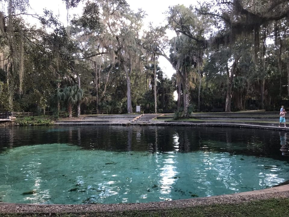 one of our beautiful springs