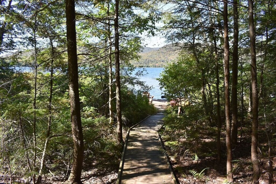Trail to the lakefront