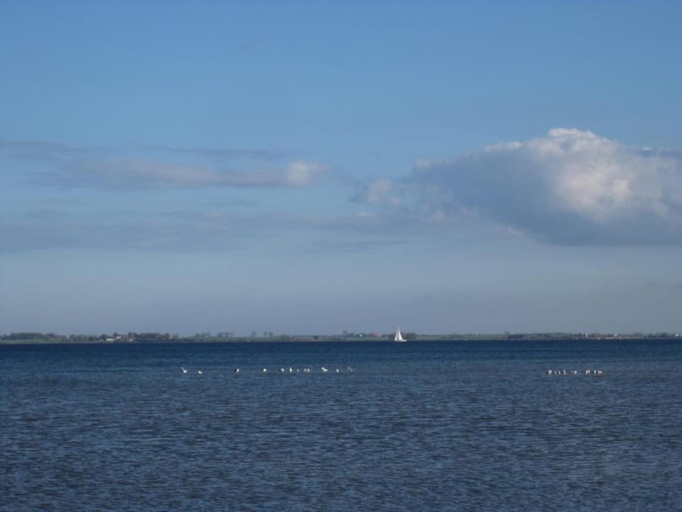 Surroundings [summer] (1-5 km)