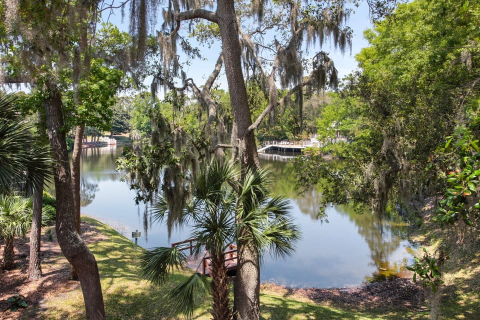 Lagoon views