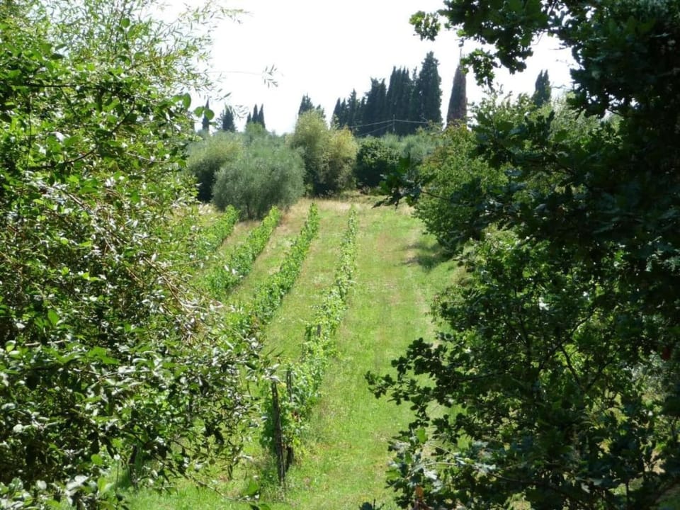 Surroundings [summer] (1-5 km)