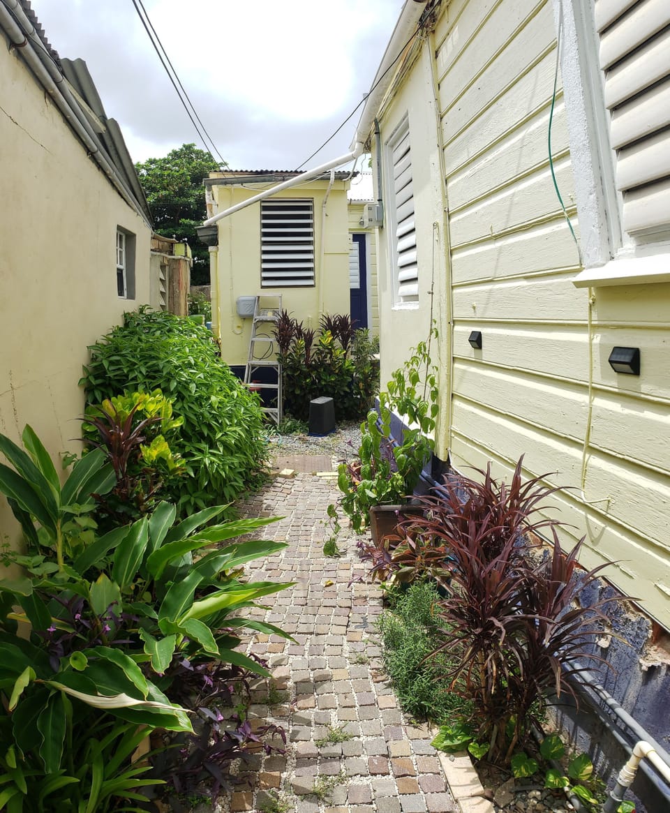 Through the white picket gate and into the courtyard oasis