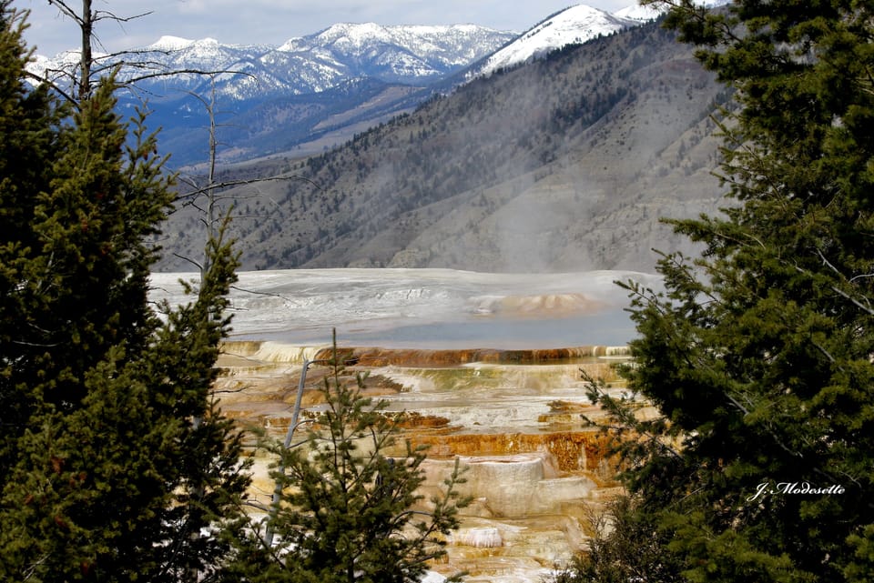 Yellowstone's Mammoth Hot Springs