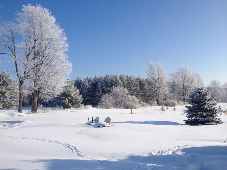 Beautiful winter view