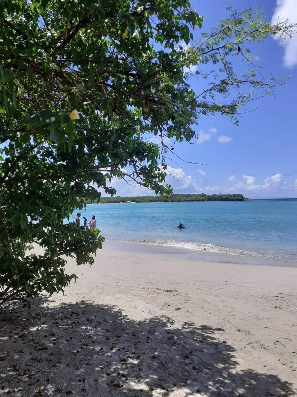 Beach