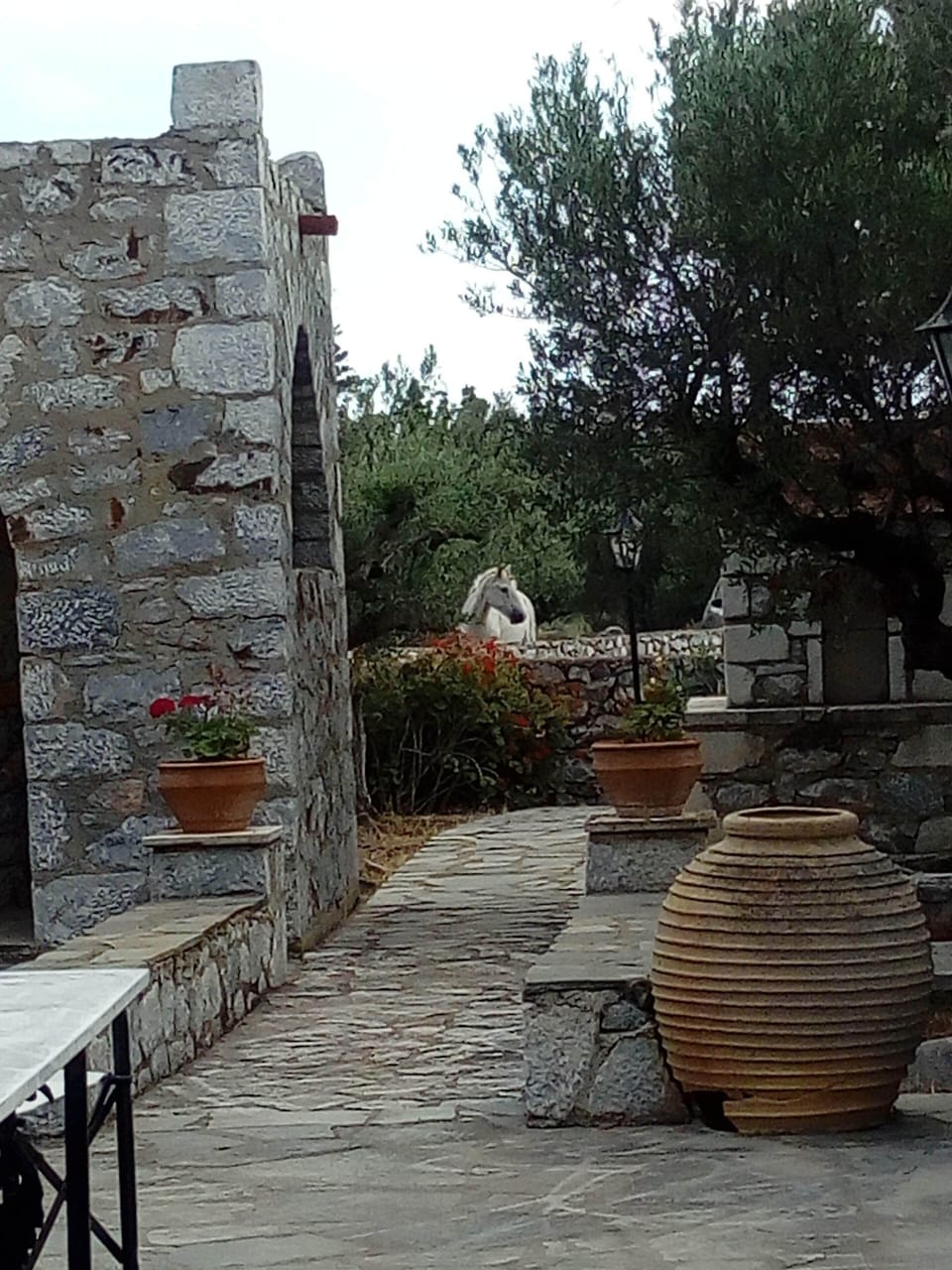 Terrace/patio