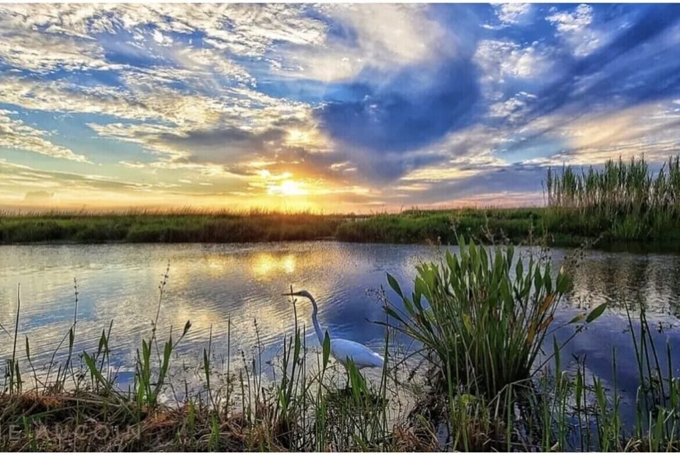 Bayou Lacombe Sunset