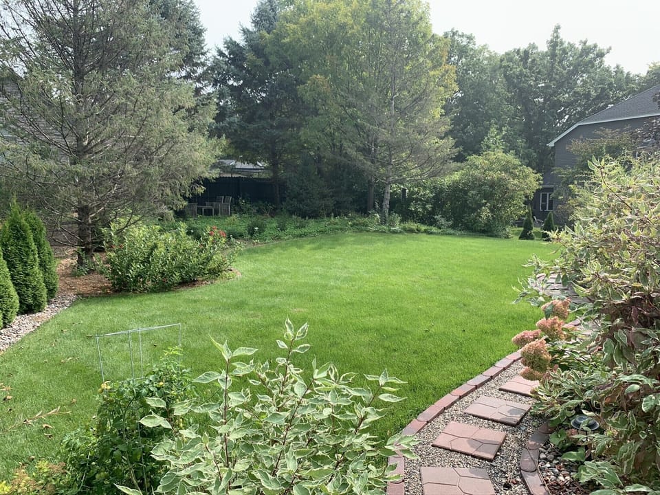 Garden /Backyard