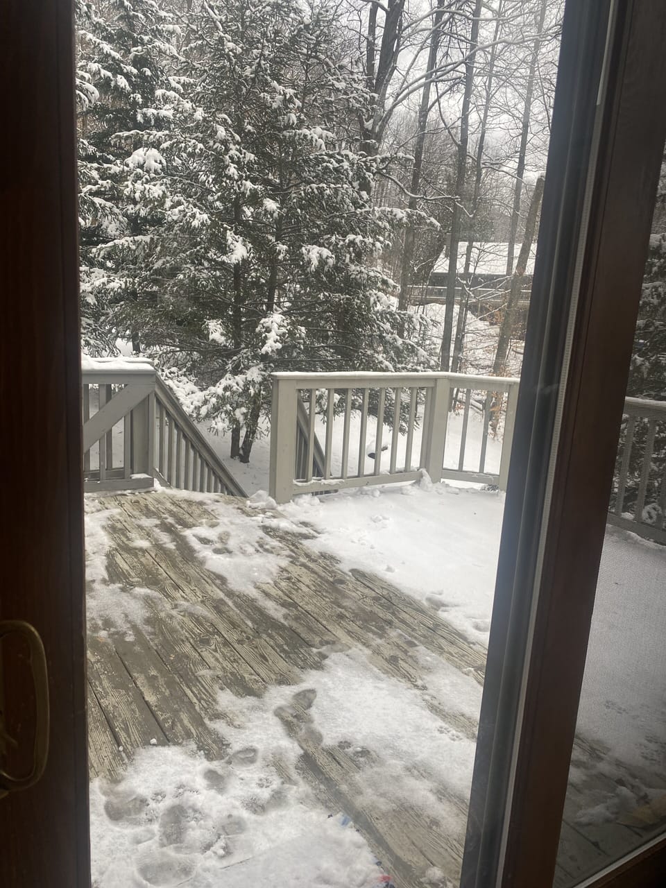 View to side yard