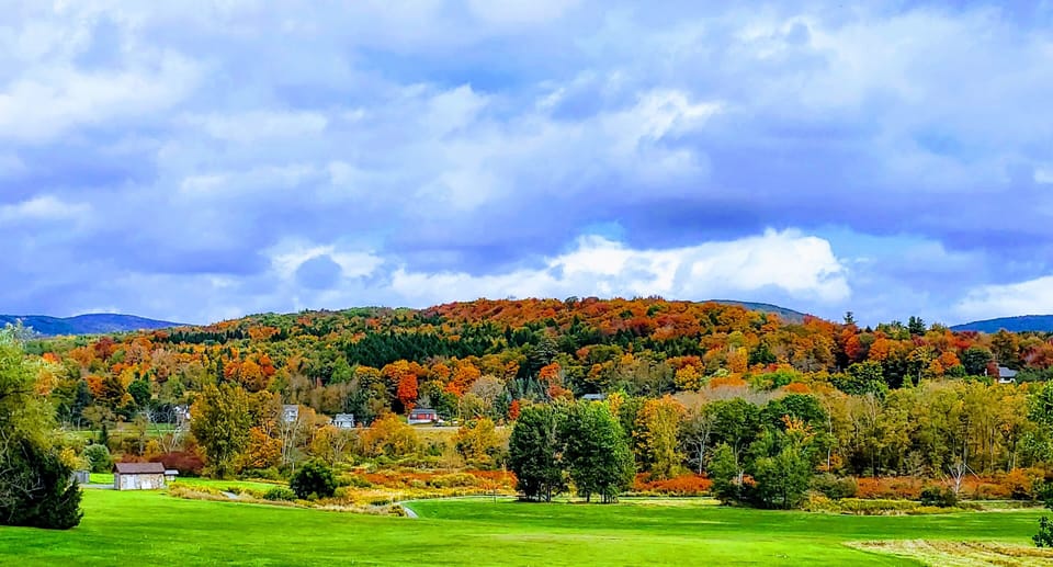 Views from Windham Path