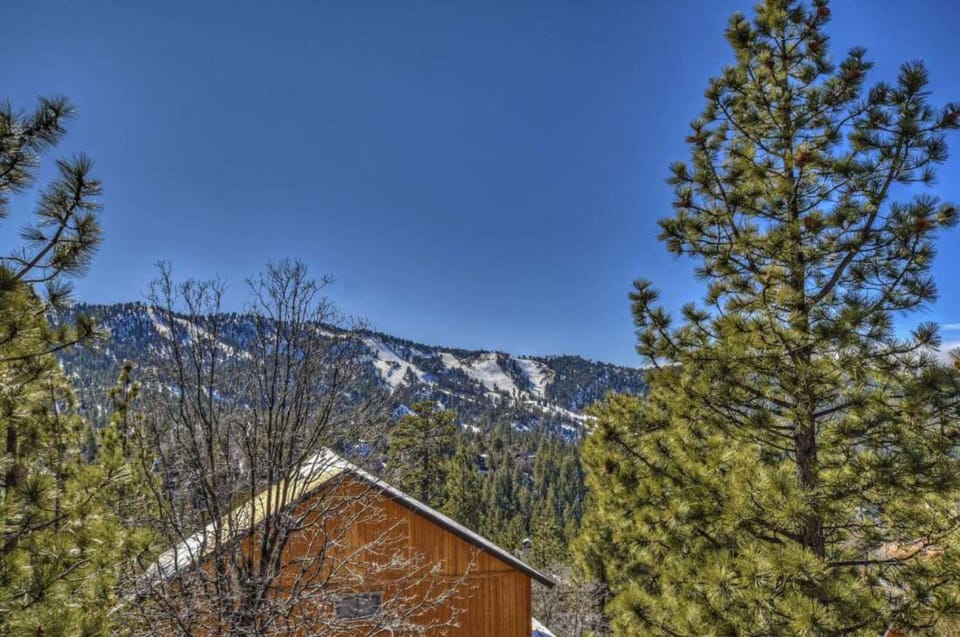 Big Bear is calling!