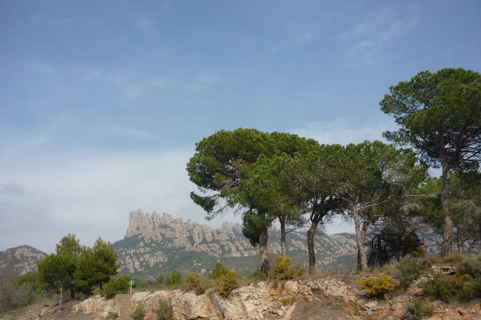 View from Holiday Home [summer]