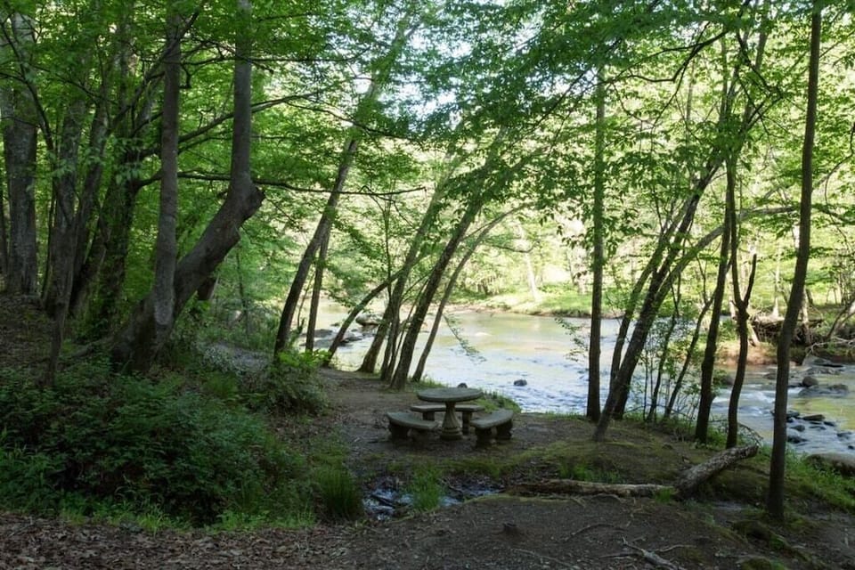 You will have access to all of the amenities of Riverbend at Lake Lure
