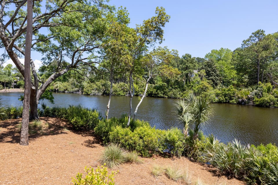 Gorgeous lagoon views