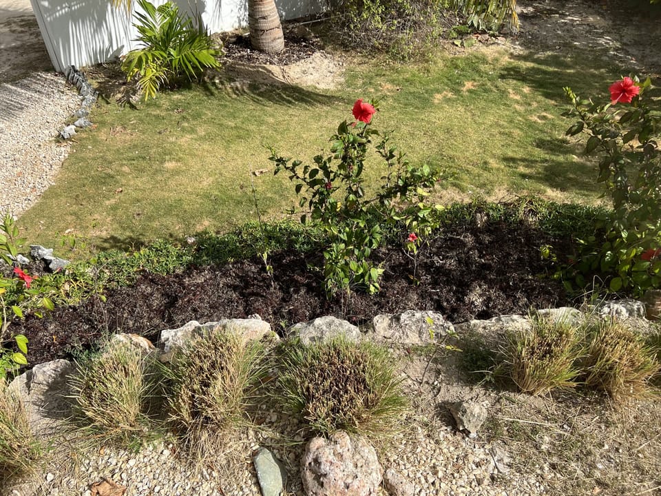 Front garden