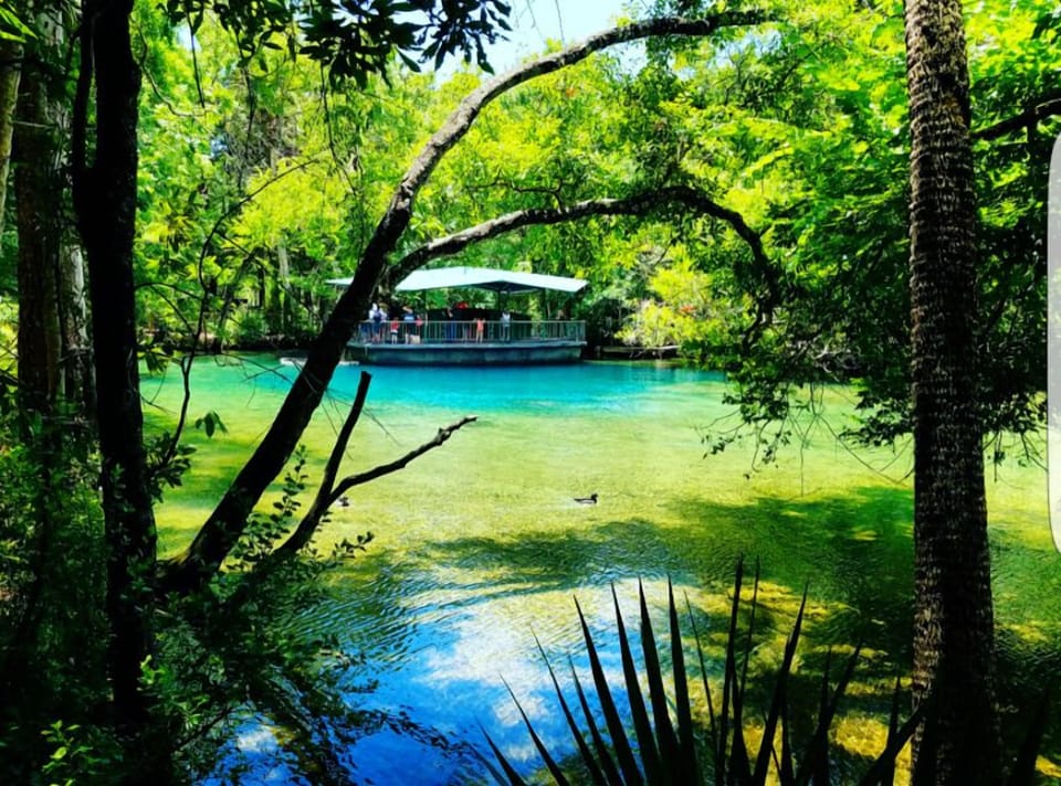 Beautiful Homosassa Springs 