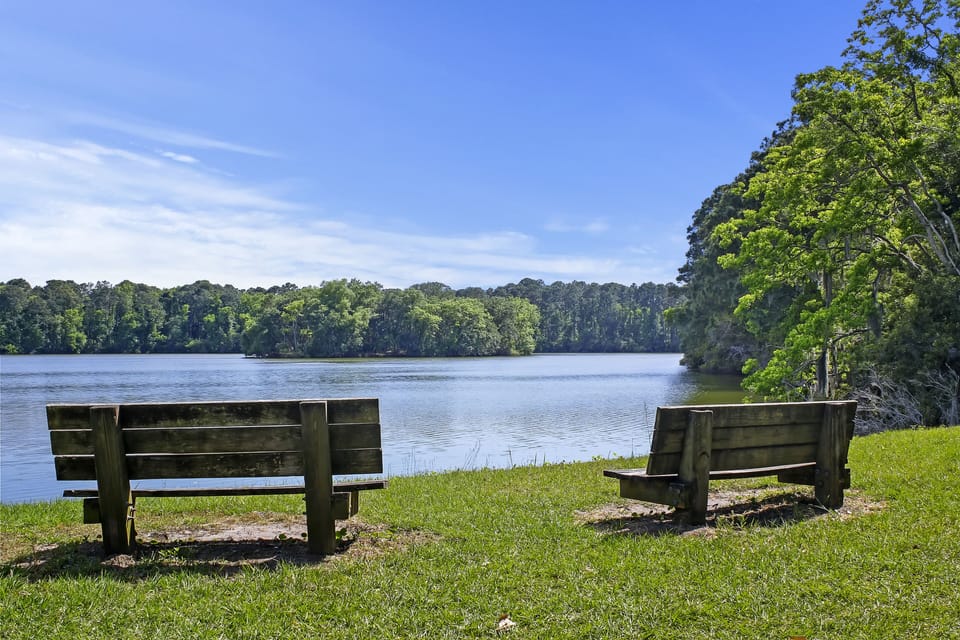 Sea Pines Forest Preserve - Sea Pines Forest Preserve