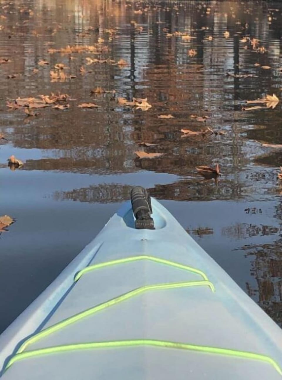 Bring your kayaks- there are multiple waterways to explore!