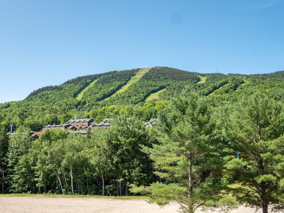 Views of Trails during Summer Months