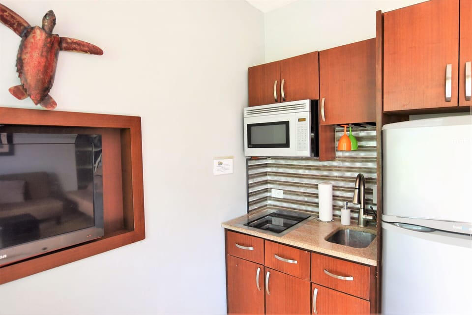 kitchenette with granite countertop, two burner stove, microwave, big fridge