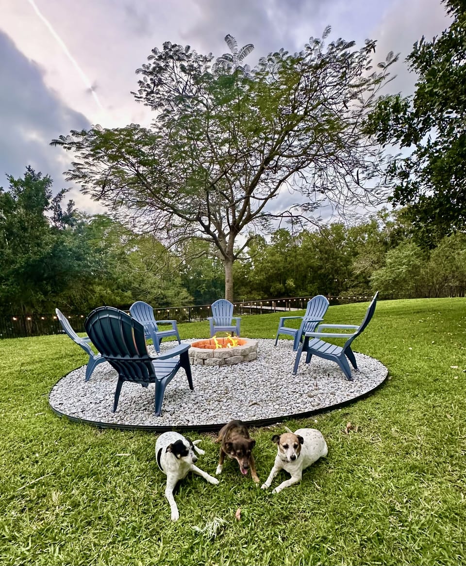 Our pups - waiting for s'mores around the firepit!