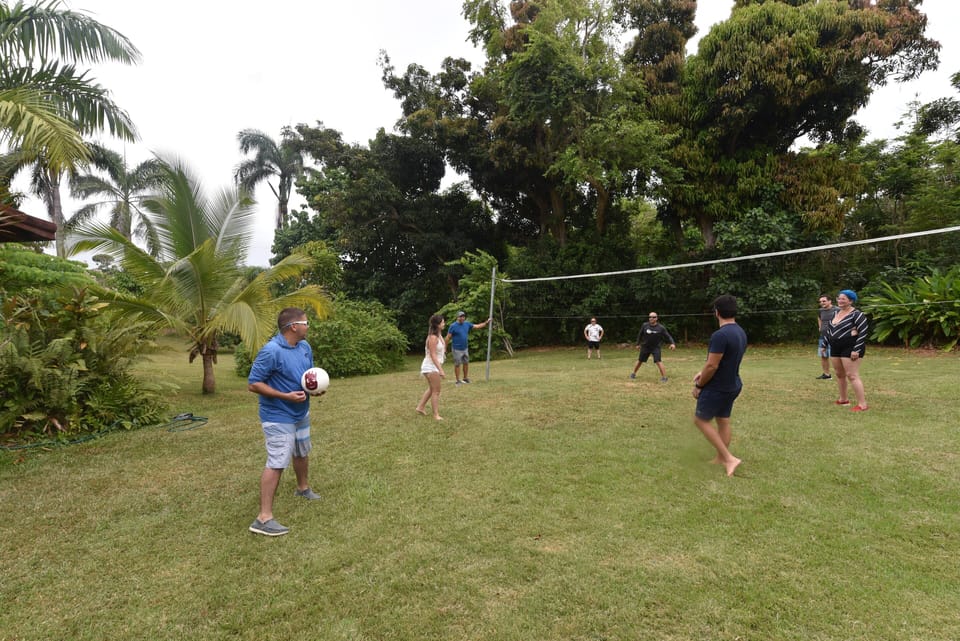 volley
