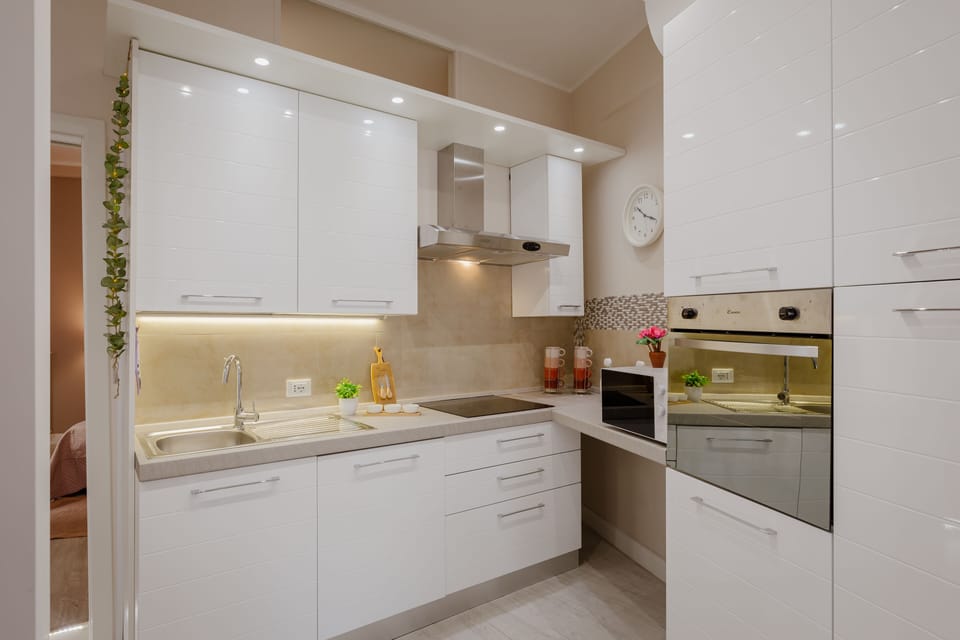 fully equipped kitchen with dishwasher, induction hob, fridge, coffee maker, etc