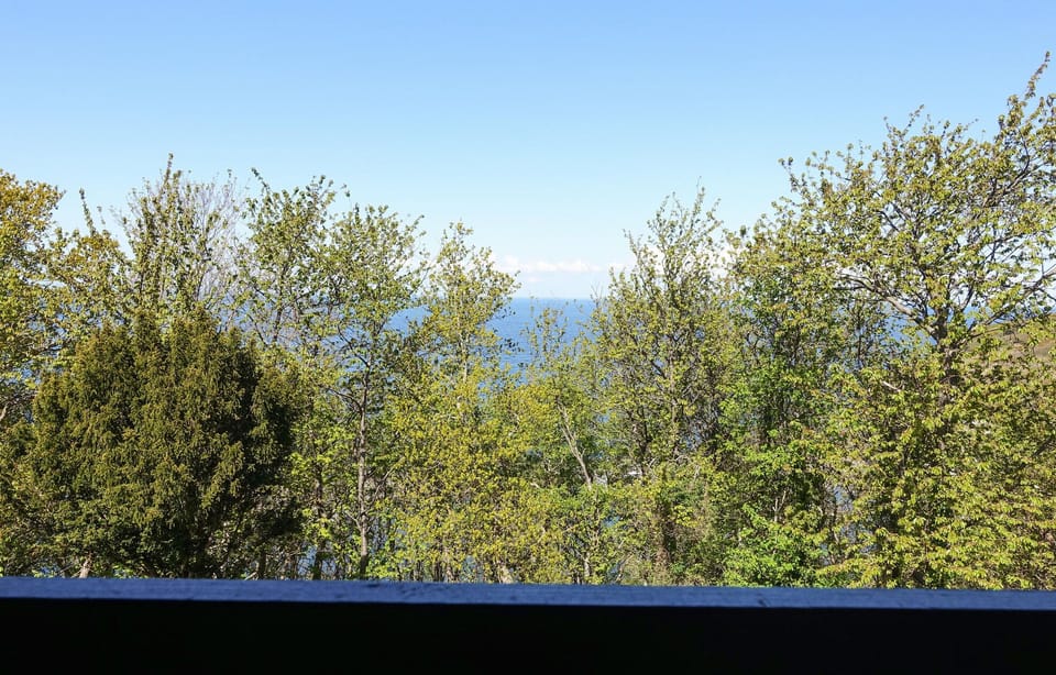 view-from-room