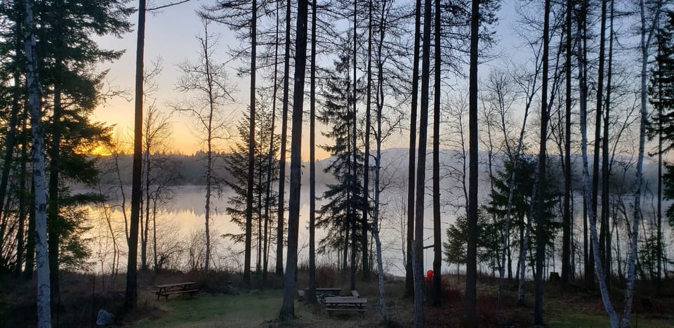 The view of the lake from the cabin.