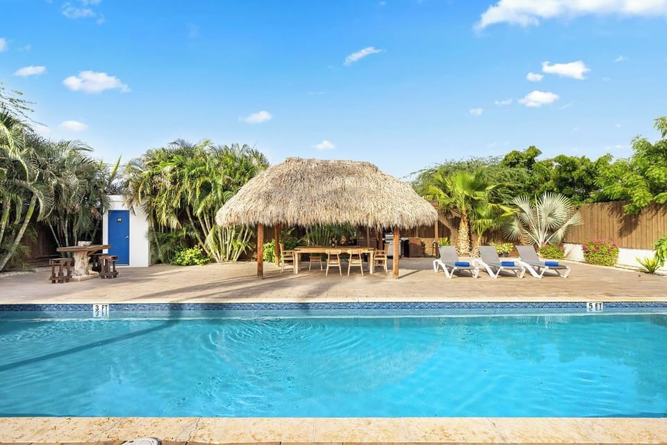 Bask in the sun or take a refreshing dip in our pool, surrounded by comfortable loungers and tropical surroundings