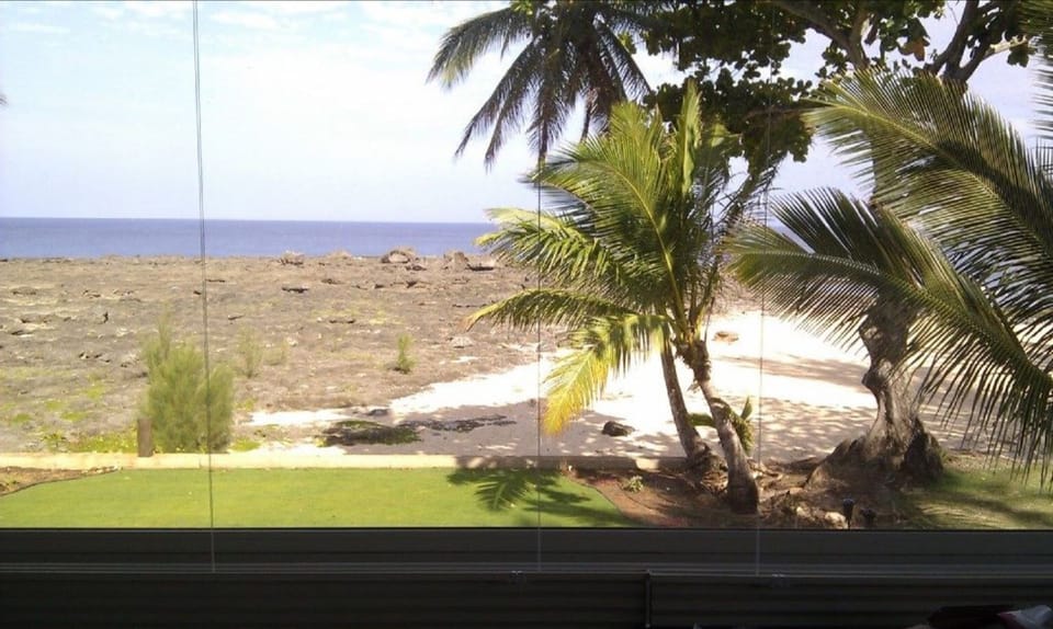 Backyard and view from office