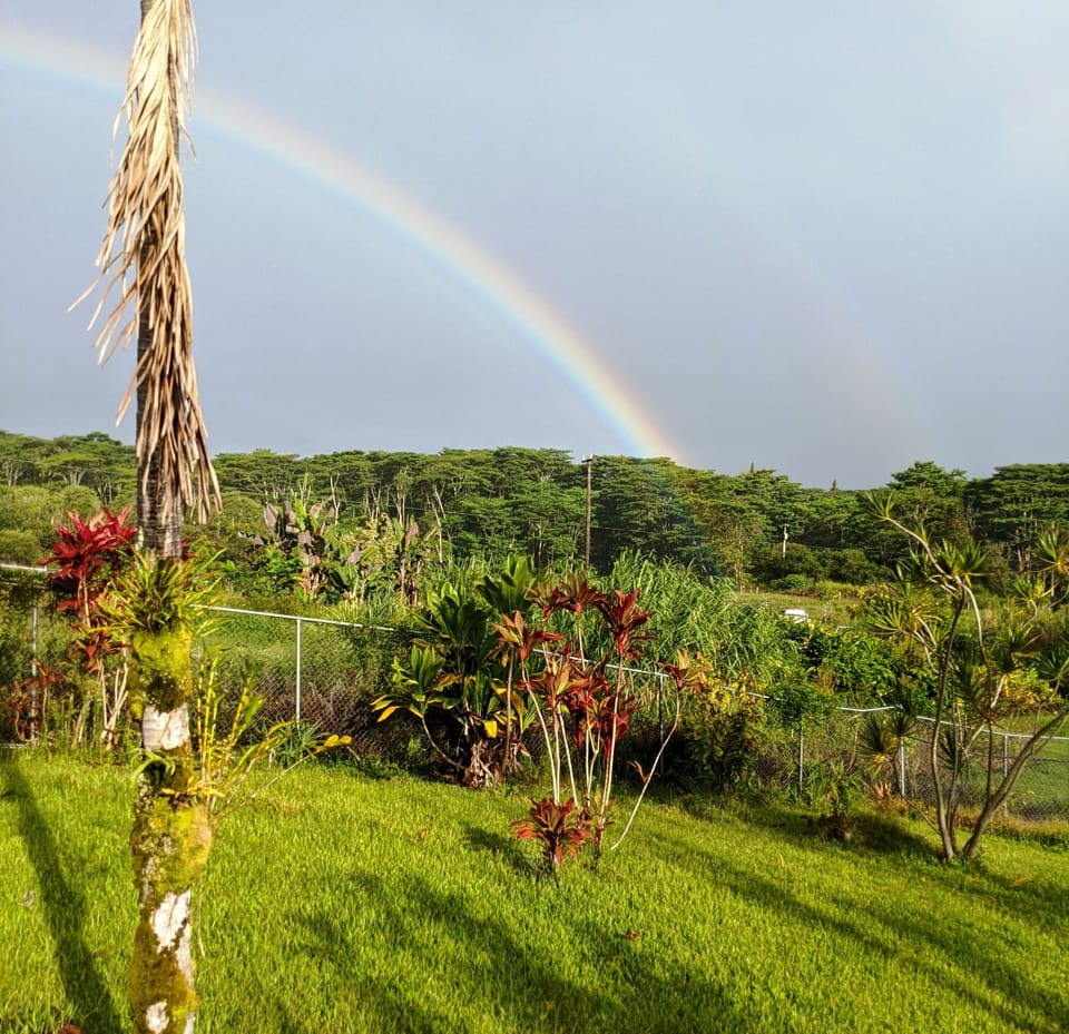 There is no extra charge for the frequent Rainbows over our hale!