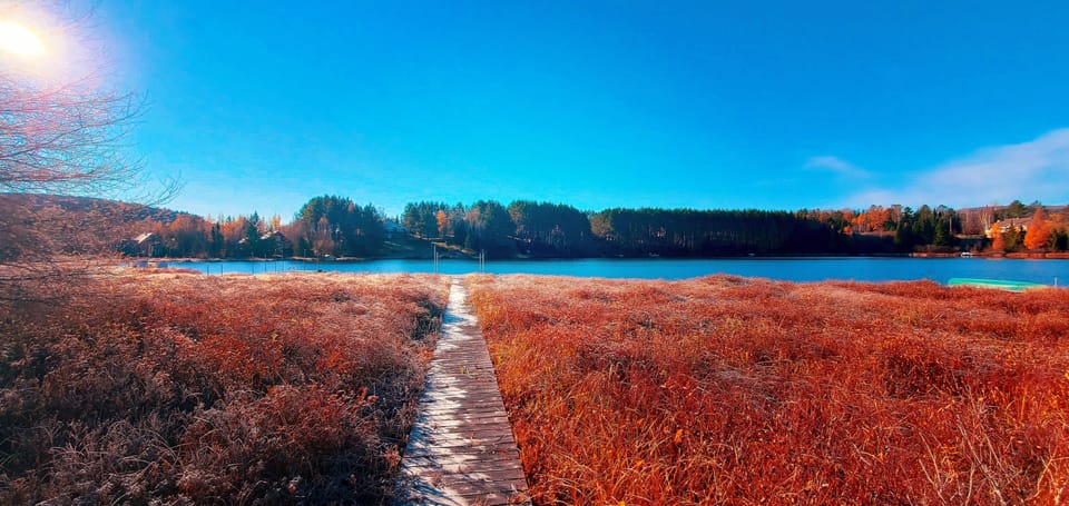 Lake view