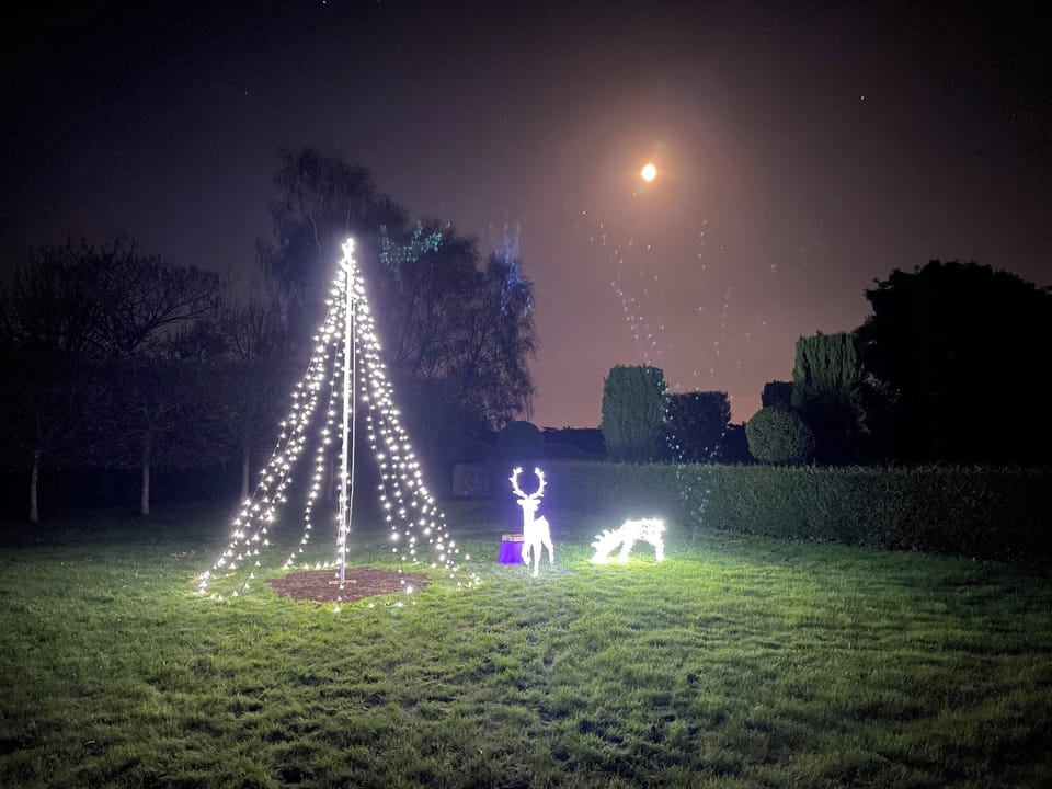 Christmas time in the garden | The Hen House, Goodwood