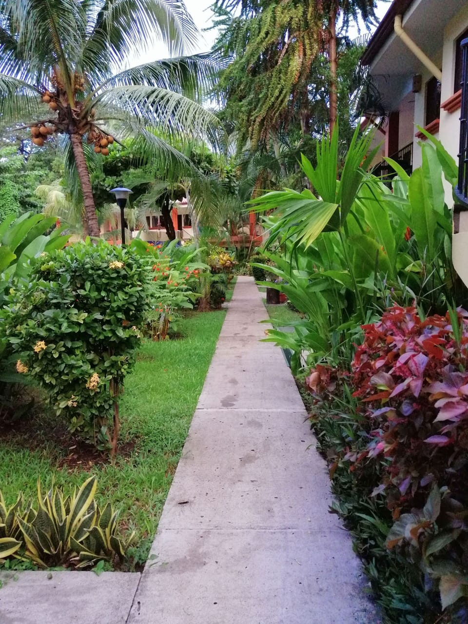 Property grounds