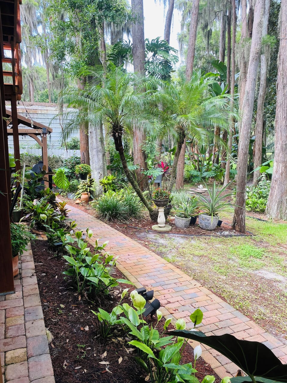 The garden grounds