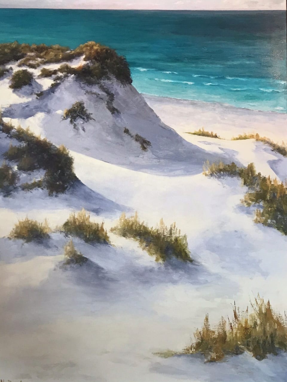 Scenic Sandune’s are Throughout Miramar Beach