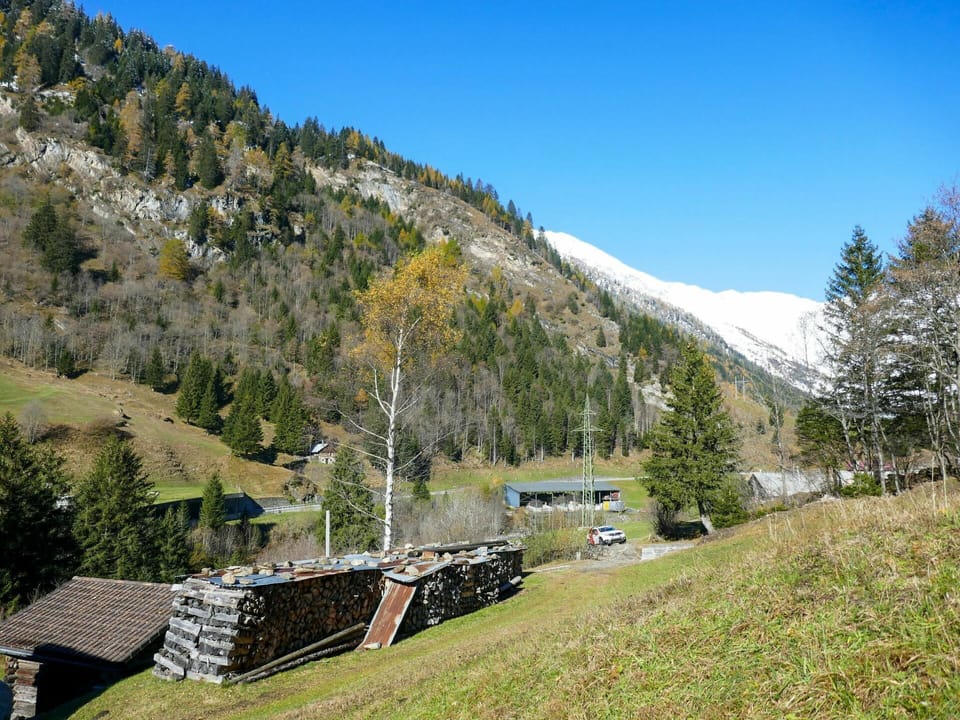 Sky, Plant, Mountain, Nature, Natural Landscape, Highland, Larch, Slope, Tree, Snow
