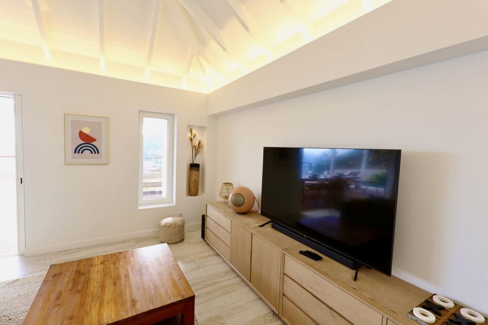 TV with Canal Sat, DISH and Apple TV