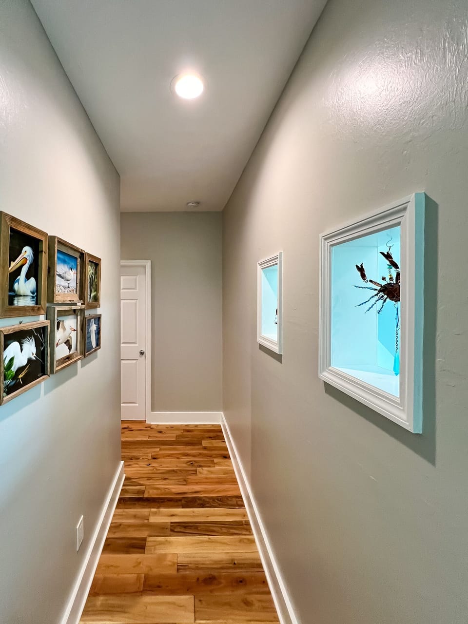 Middle floor hall to bedrooms, with windows open to stairs, bringing in light.