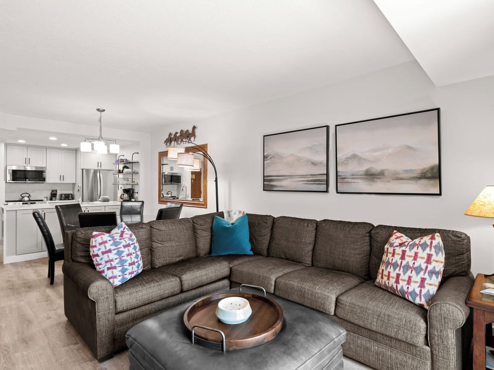 Living Area / Sleep Sofa