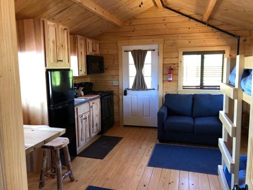 Kitchen and pull out couch in the main room