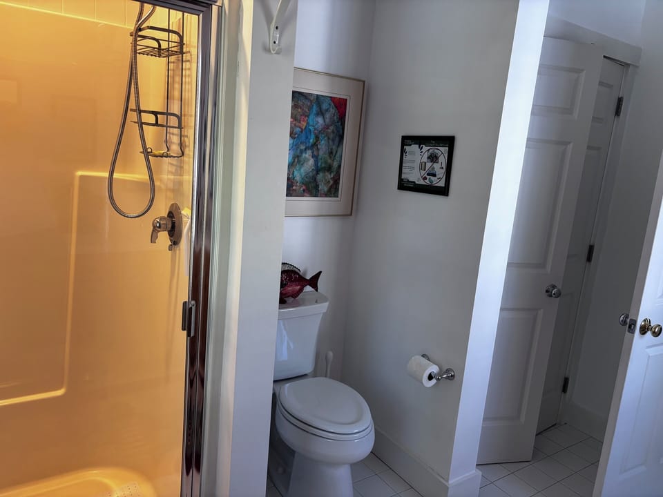 Downstairs bathroom. Shower stall.