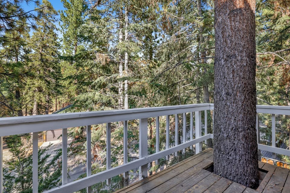 Private outdoor deck, surrounded by tall pines, perfect for relaxing under the trees after a day of adventure—enjoy peaceful forest views, fresh air, and a truly rejuvenating stay.