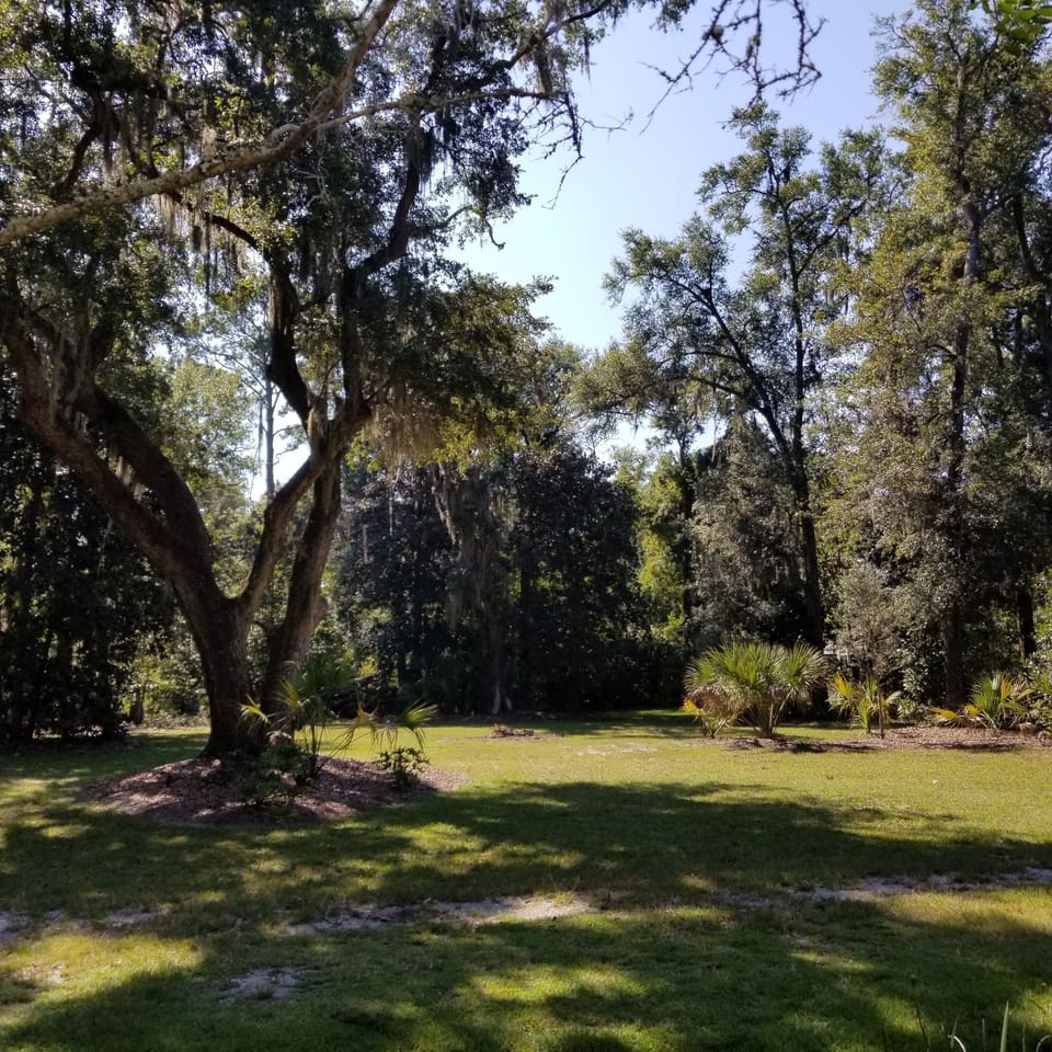 Yard - plenty of space to park a boat or play outdoor games.