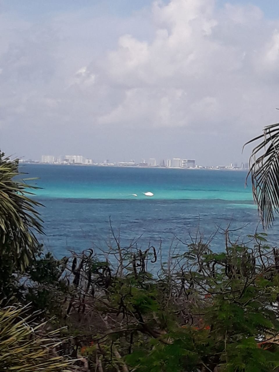 Beach/ocean view