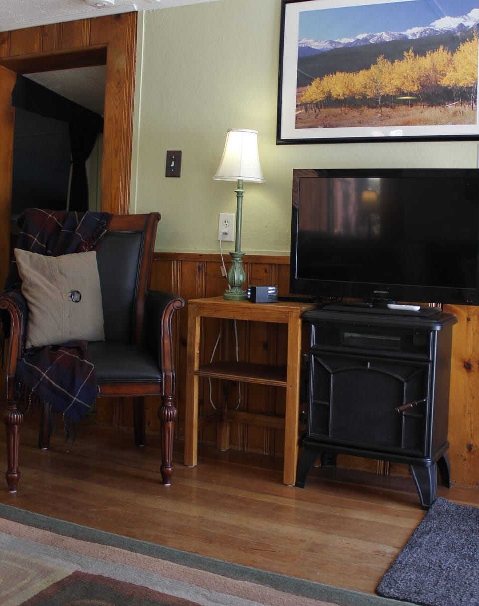 Reading Chair, electric fire place, and TV with free movie channels.