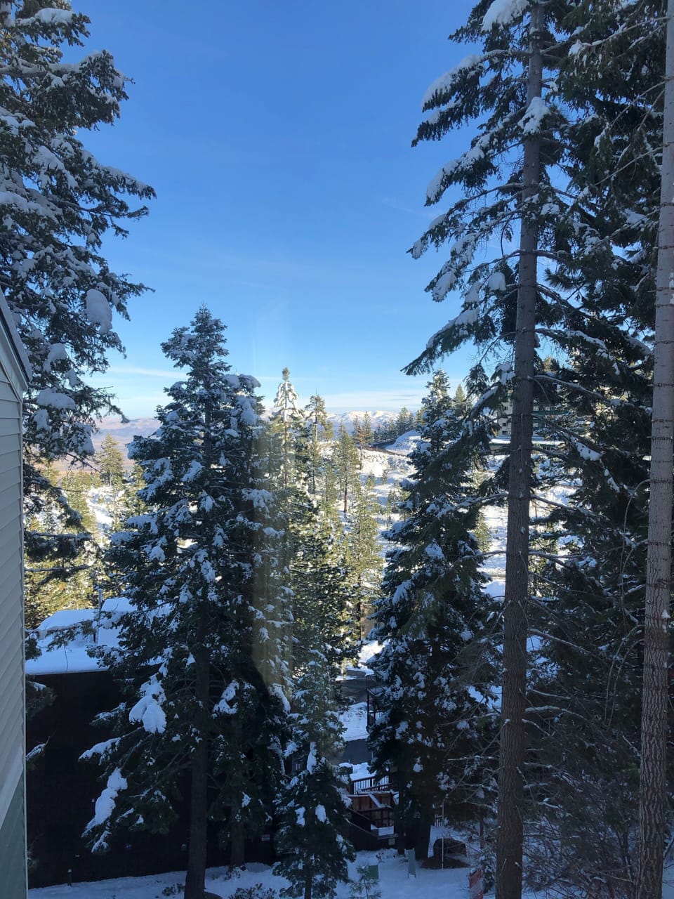 View from dining room window 