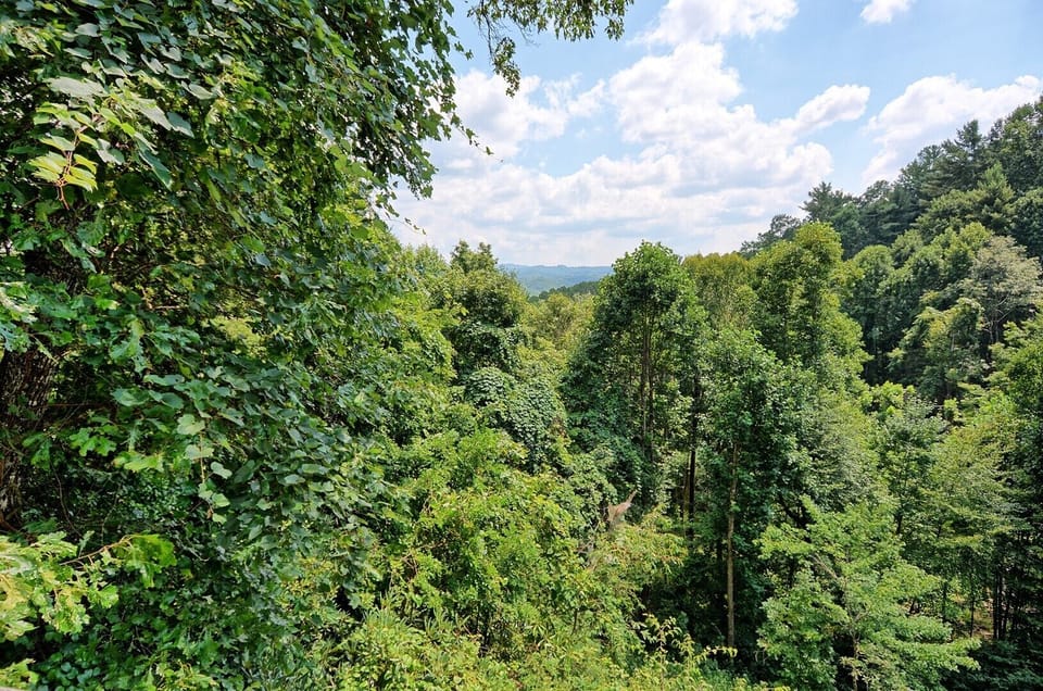 Mountain and Wooded Views