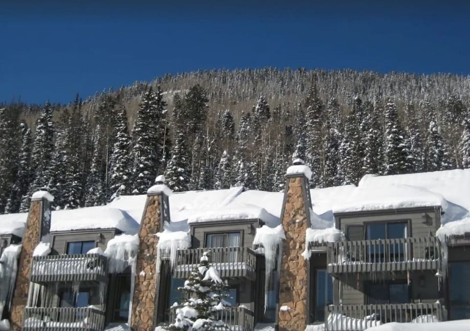 Winter view of unit. Condo is nestled in the National Forest. 